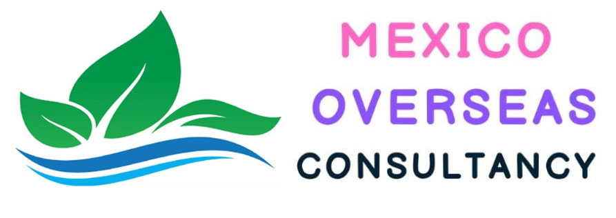 MEXICO OVERSEAS CONSULTANCY Logo